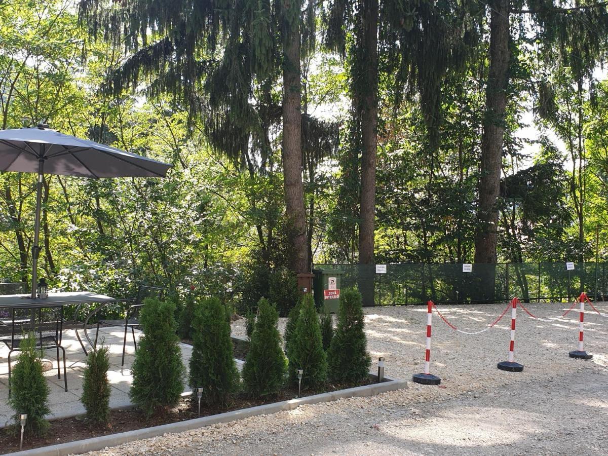 Residence Sinaia Apartments エクステリア 写真